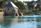 Rocher & mer_25