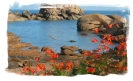 Rocher & mer_38