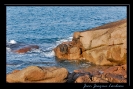 Rocher & mer_60