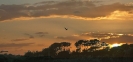 Travail sur paysages_1